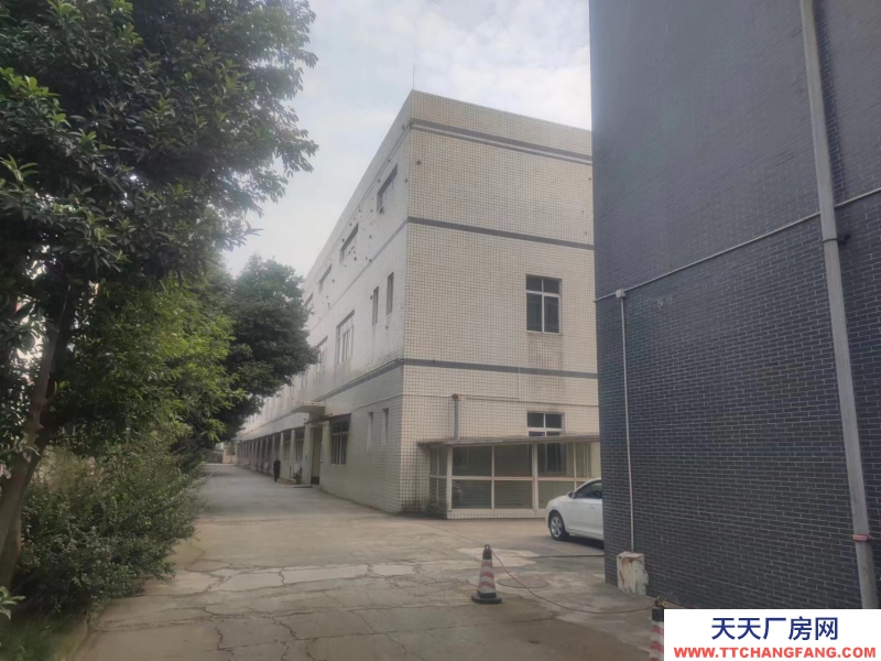 独门独院标准厂房底价出租，房东直租！