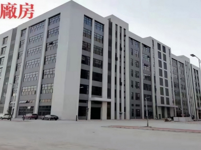 东莞市塘厦镇１１０４８平方米独栋厂库房出租图1
