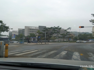 东莞市塘厦镇四村１１０００平方独栋厂房出租图2