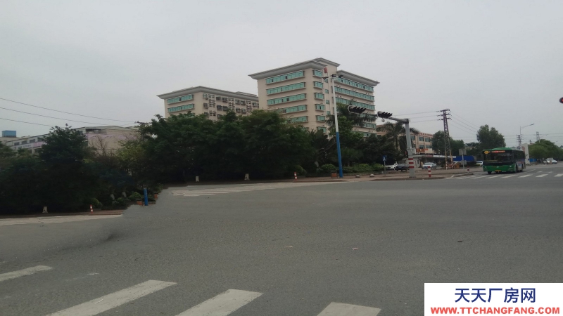 惠州市惠阳区新圩镇１８００平方红本独栋厂房出售