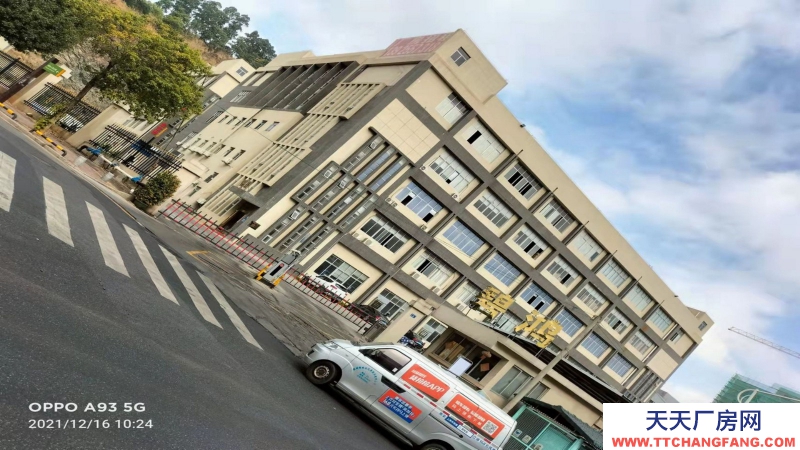 惠州市惠阳区新圩镇１８００平方红本独栋厂房出售