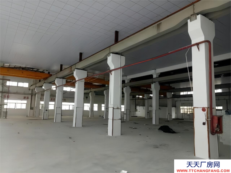 无锡周边单层厂房 高12.5米 独立庭院  入园即可办证 可定制