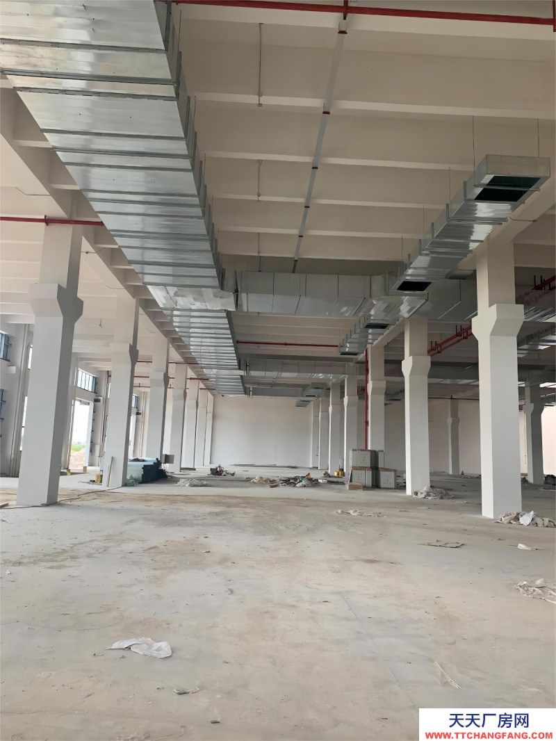 无锡周边单层厂房 高12.5米 独立庭院  入园即可办证 可定制