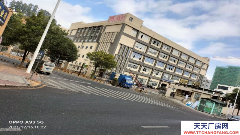 东莞市清溪镇２７２１平方独立产权双拼办公楼出售