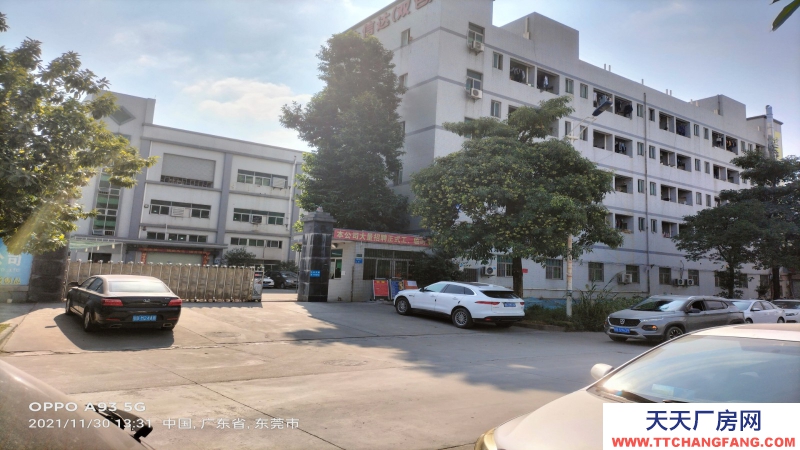惠州市惠阳区新圩镇２８９４平方全新六楼厂房出售