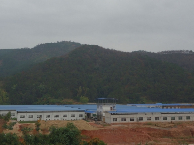 广东省东莞市谢岗镇３００００平方单层仓库出租图2