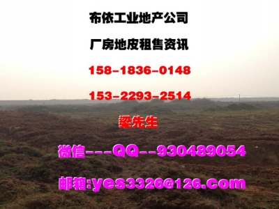 广东省东莞市常平镇４００００平方独栋仓库出租图3