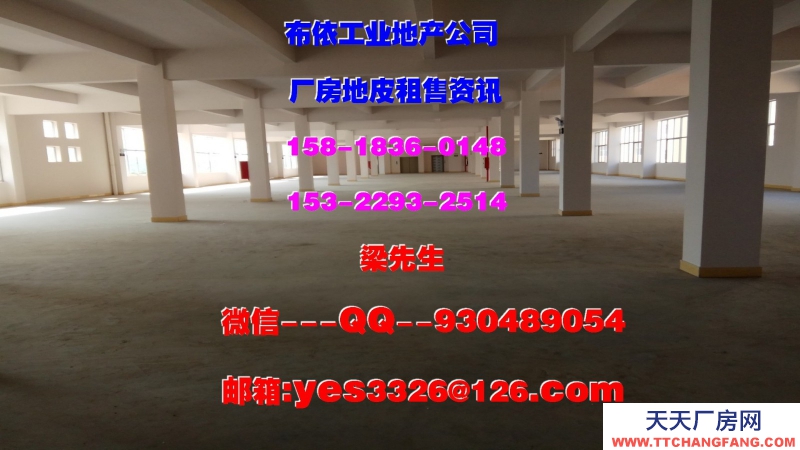 东莞凤岗镇４２０００平方五星干仓物流仓库出租
