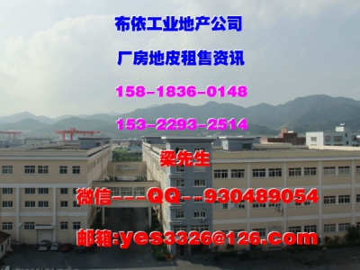 东莞凤岗镇４２０００平方五星干仓物流仓库出租图2