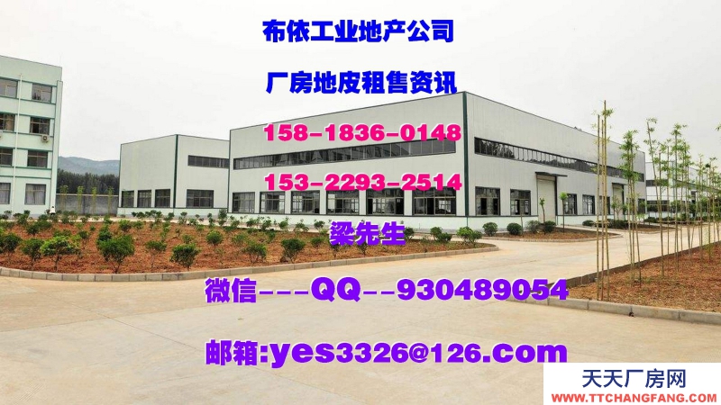 广东省东莞市凤岗镇４５０００平方独栋仓房出租