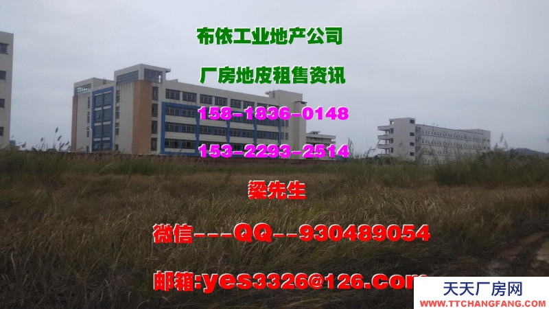 广东省东莞市清溪镇３４０００平方标准仓库出租