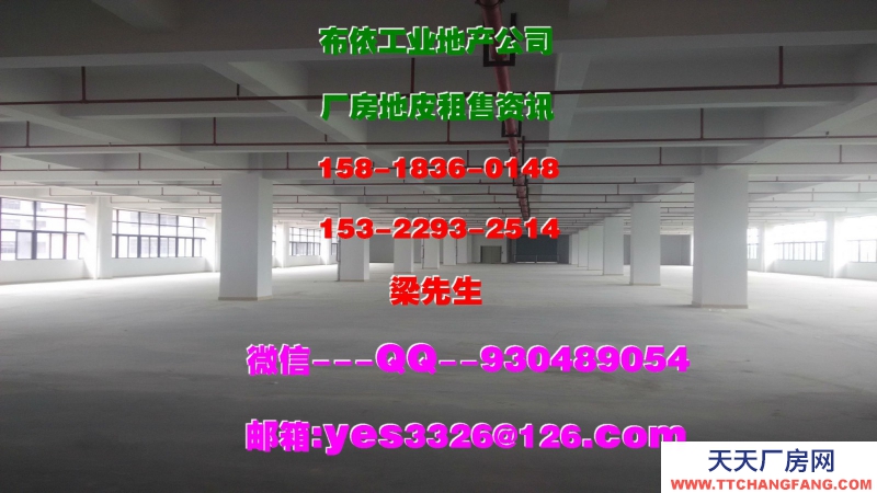 广东省东莞市虎门镇５００００平方厂房仓库出租