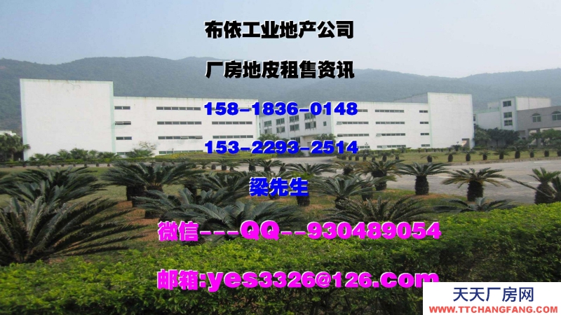 广东省东莞市虎门镇５００００平方厂房仓库出租