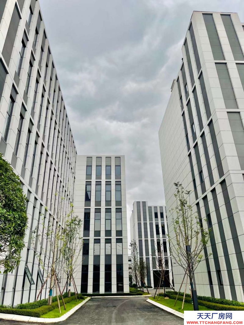 汽车城板块，覆盖中和新川