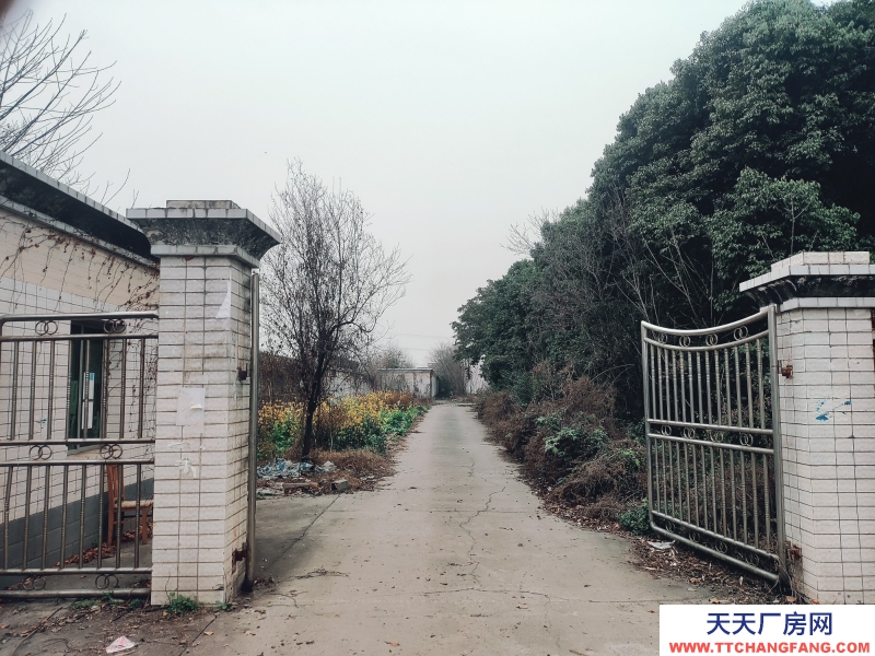 近工业大道独院厂房直租