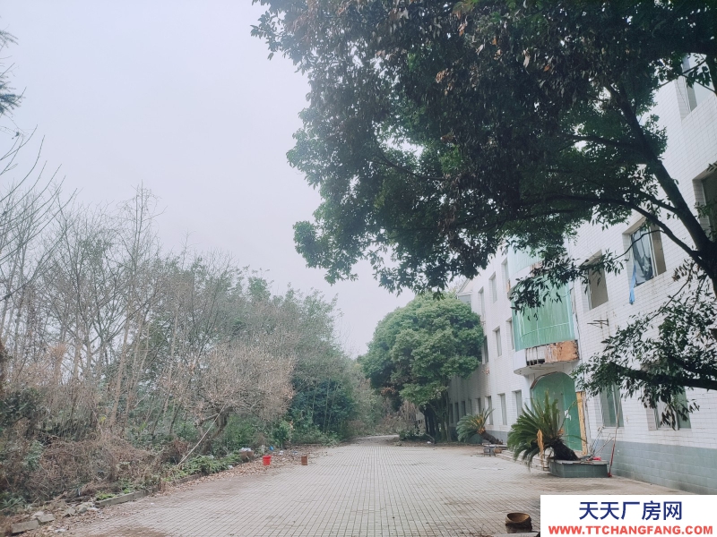 近工业大道独院厂房直租