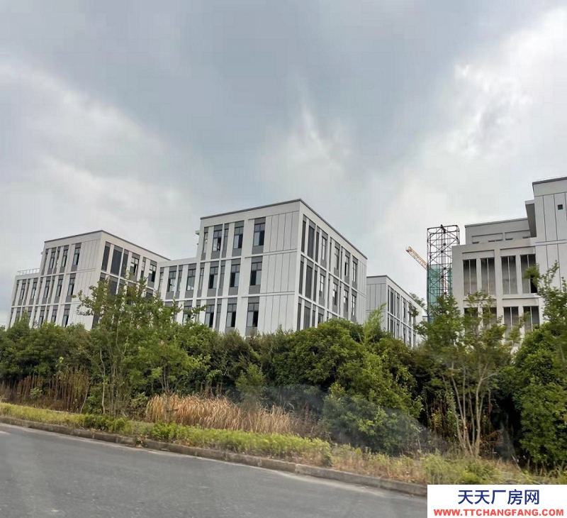 出售杭州高速口全新厂房，单价3000多，首付2层，打造企业发展创新大平台，中介勿扰