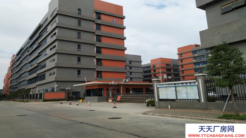 东莞市凤岗镇１８０００平方米现成冷冻仓库出租