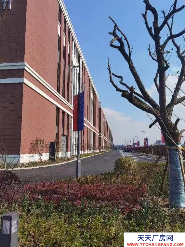 国土厂房 12米层高 独立产权 大车可进