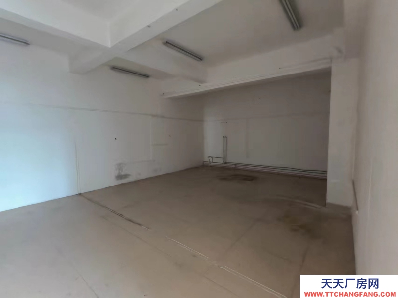 出租整层