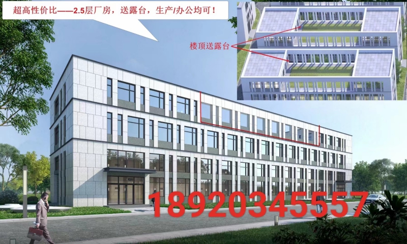独门独院单层12米  50年大产权厂房出售