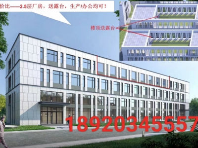 独门独院单层12米  50年大产权厂房出售图2