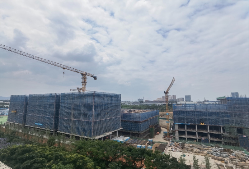 新园区，独栋开发商直租，50年工业产权可以办理全资质，可建立实验室