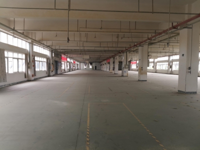 崇州大面积框架结构厂房出租图3