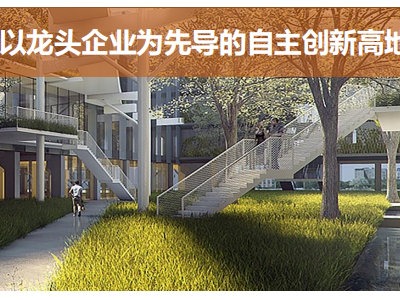 【主城核心，小微园区，百强企业独资开发】图1