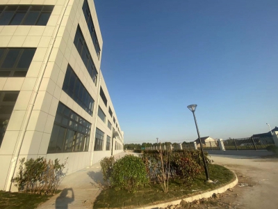 单层独门独院厂房出售 送院子 交通配套齐全 可按揭图3