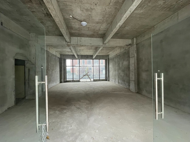 高新西区小独栋，500起租，1000，,2000，工业用地