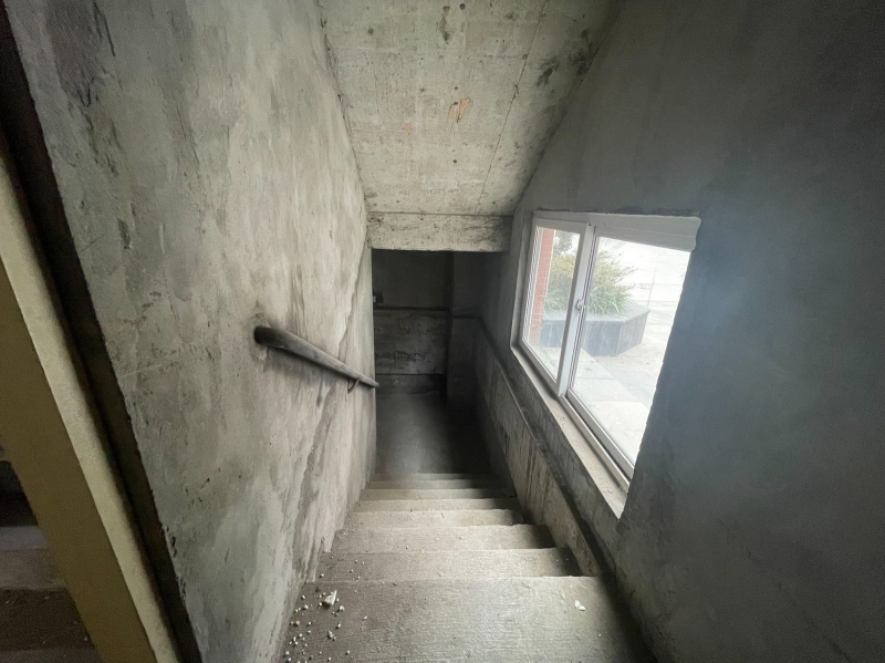 高新西区小独栋，500起租，1000，,2000，工业用地