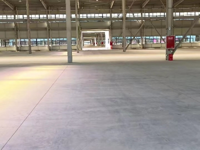 新津大型钢结构厂房出租，非中介图1