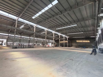 新津大型钢结构厂房出租，非中介图3