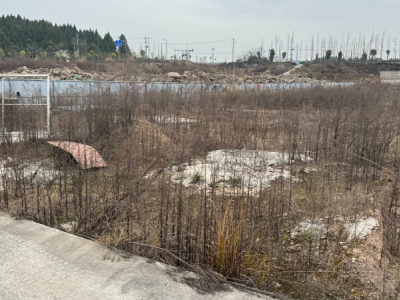 江油市龙风镇工业用地出售，已报规报建，证件齐全，50年产权图5