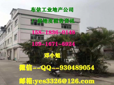东莞市清溪镇１０５５０平方钢构厂房仓库出租图3