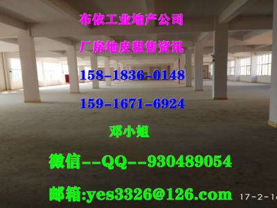 东莞市樟木头镇１２０８０平方独院单层厂房仓库出租图2