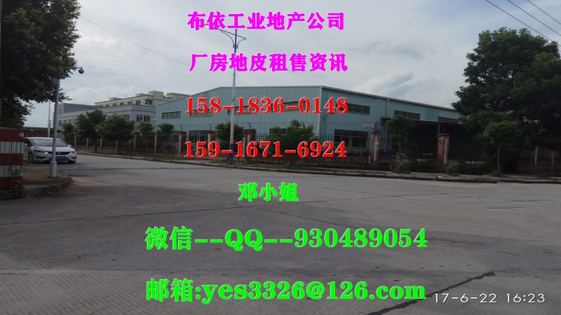 东莞市常平镇１３０００平方米独院单层厂房出租