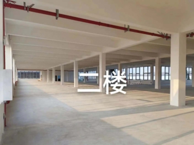 (出租) 出租蒲江蒲江大邑新津园区1500-20000可喷漆喷塑图3