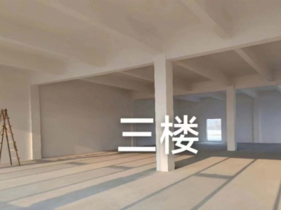 (出租) 出租蒲江蒲江大邑新津园区1500-20000可喷漆喷塑图4