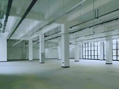 现房租赁补贴天府 锦江成华 机场厂房办公研发 有政策图3