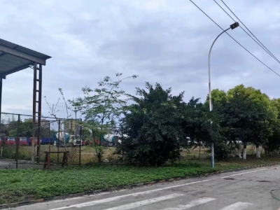 (出租) 标准厂房，水电路三通，有航车，天然气图2