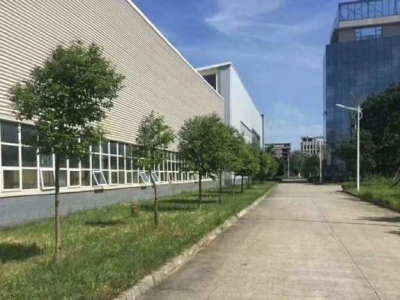 出租双流钢结构厂房，交通便利、配套齐全图2