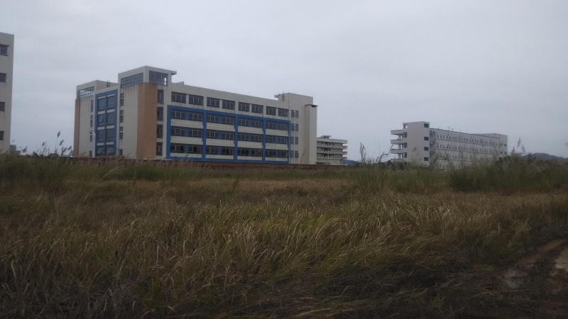 东莞市桥头镇92000平方米工业用地出售