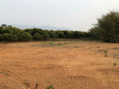 惠州市博罗县龙华镇15000平方红本工业地皮出租图4