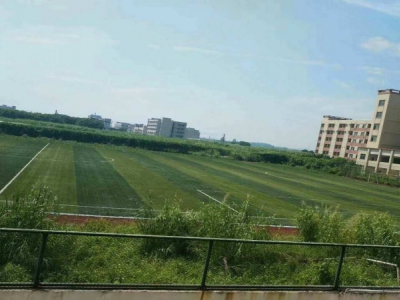 惠州市惠城区小金口3.5万平方工业用地出售图1