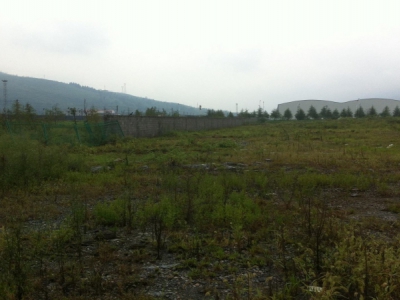 惠州市仲恺区沥林镇12000平方红本工业地皮出售图4