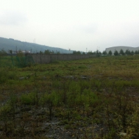 惠州市仲恺区沥林镇12000平方红本工业地皮出售