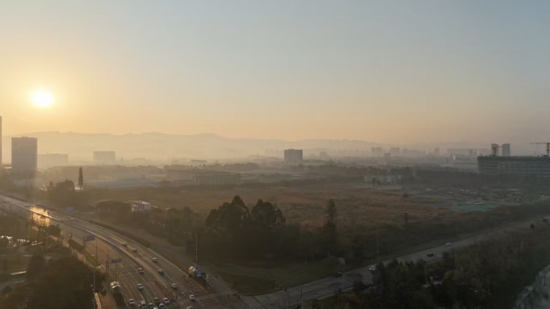 成都经开区 2300㎡独栋厂房出售 独门独院户型独立产权 临地铁高铁
