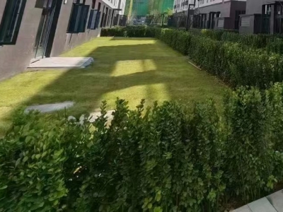 三环旁 地铁口  证件齐全 可按揭贷款图5